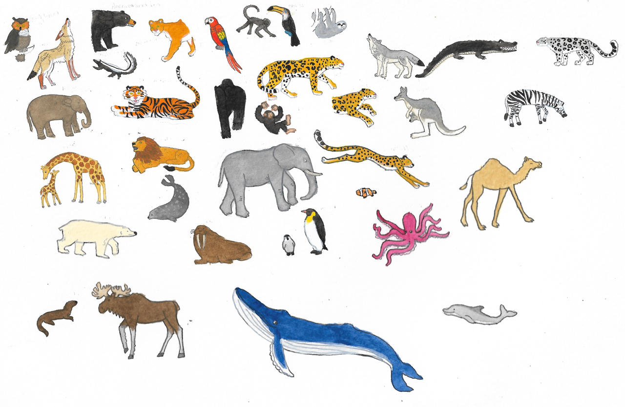 All Animals Deviantart Animals by brazilianferalcat on DeviantArt