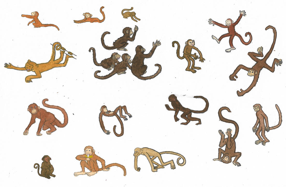 Monkeys by brazilianferalcat on DeviantArt