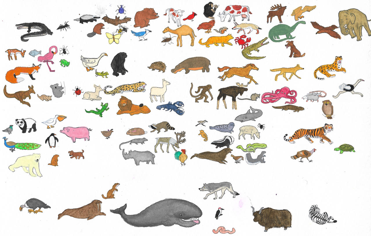 All Animals Deviantart Animals by brazilianferalcat on DeviantArt