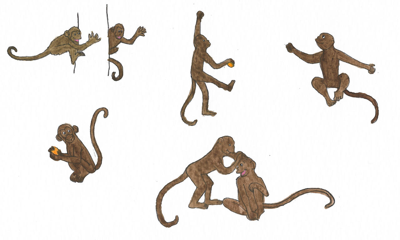 Monkeys Cartoon Deviantart Monkeys by brazilianferalcat on DeviantArt