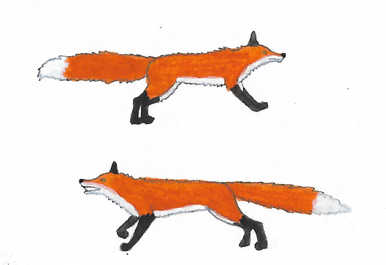 Deviantart Foxes Foxes by brazilianferalcat on DeviantArt