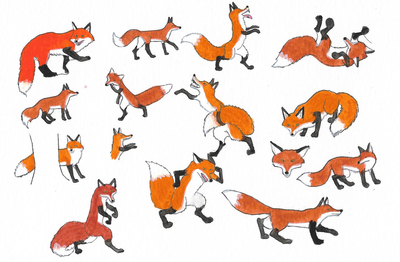Deviantart Foxes Foxes by brazilianferalcat on DeviantArt