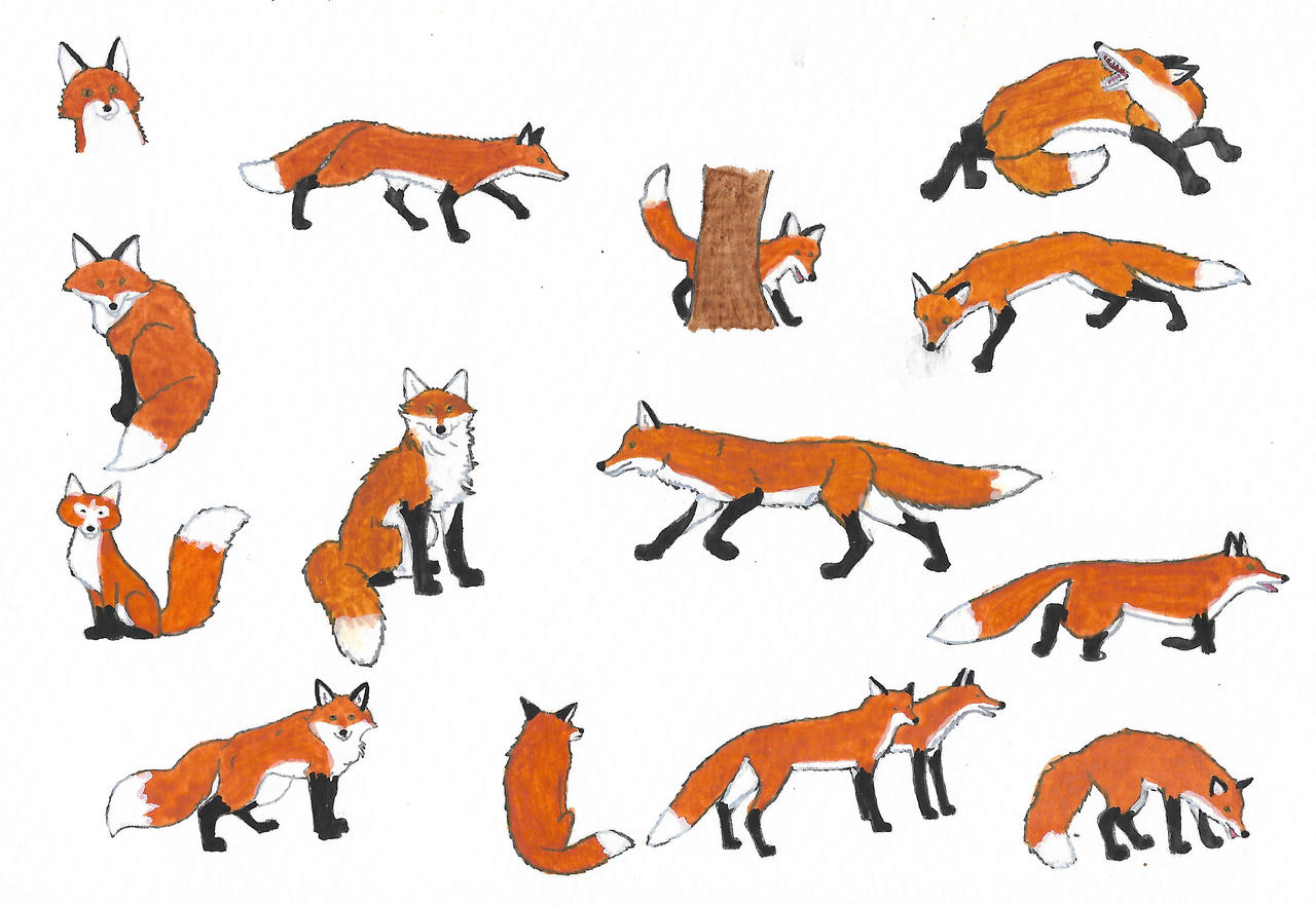 Deviantart Foxes Foxes by brazilianferalcat on DeviantArt