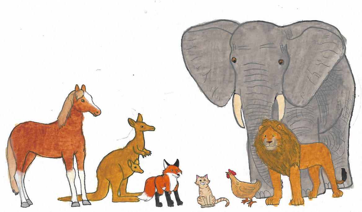 All Animals Deviantart Animals by brazilianferalcat on DeviantArt
