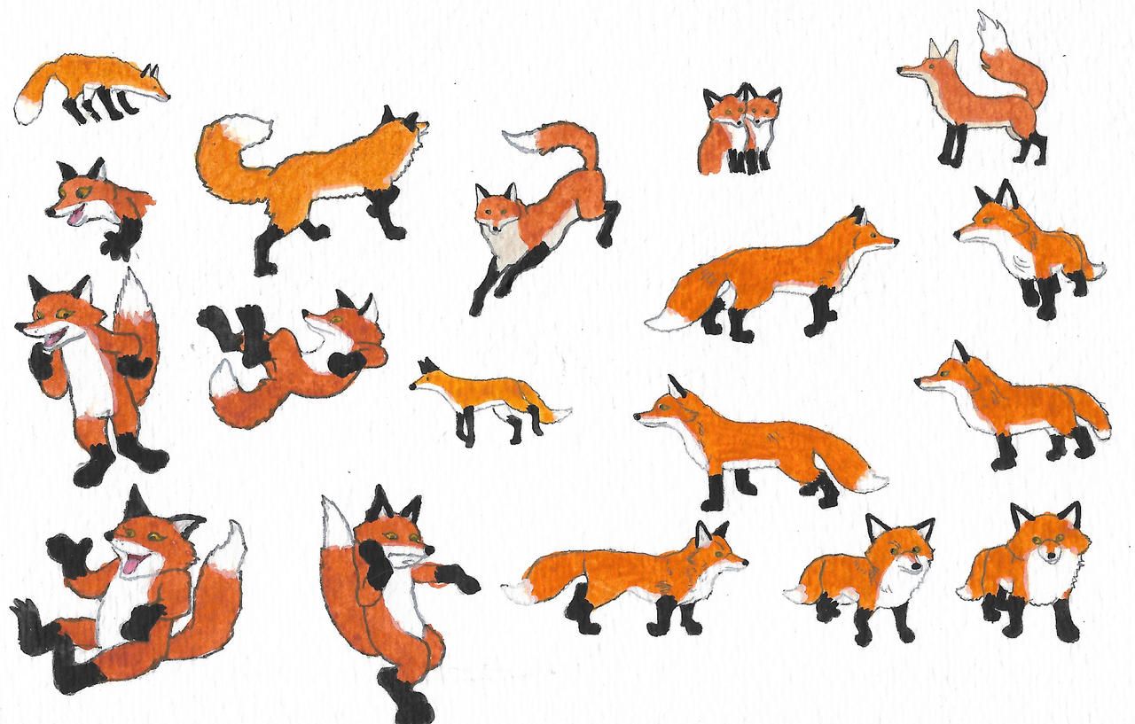 Deviantart Foxes Foxes by brazilianferalcat on DeviantArt