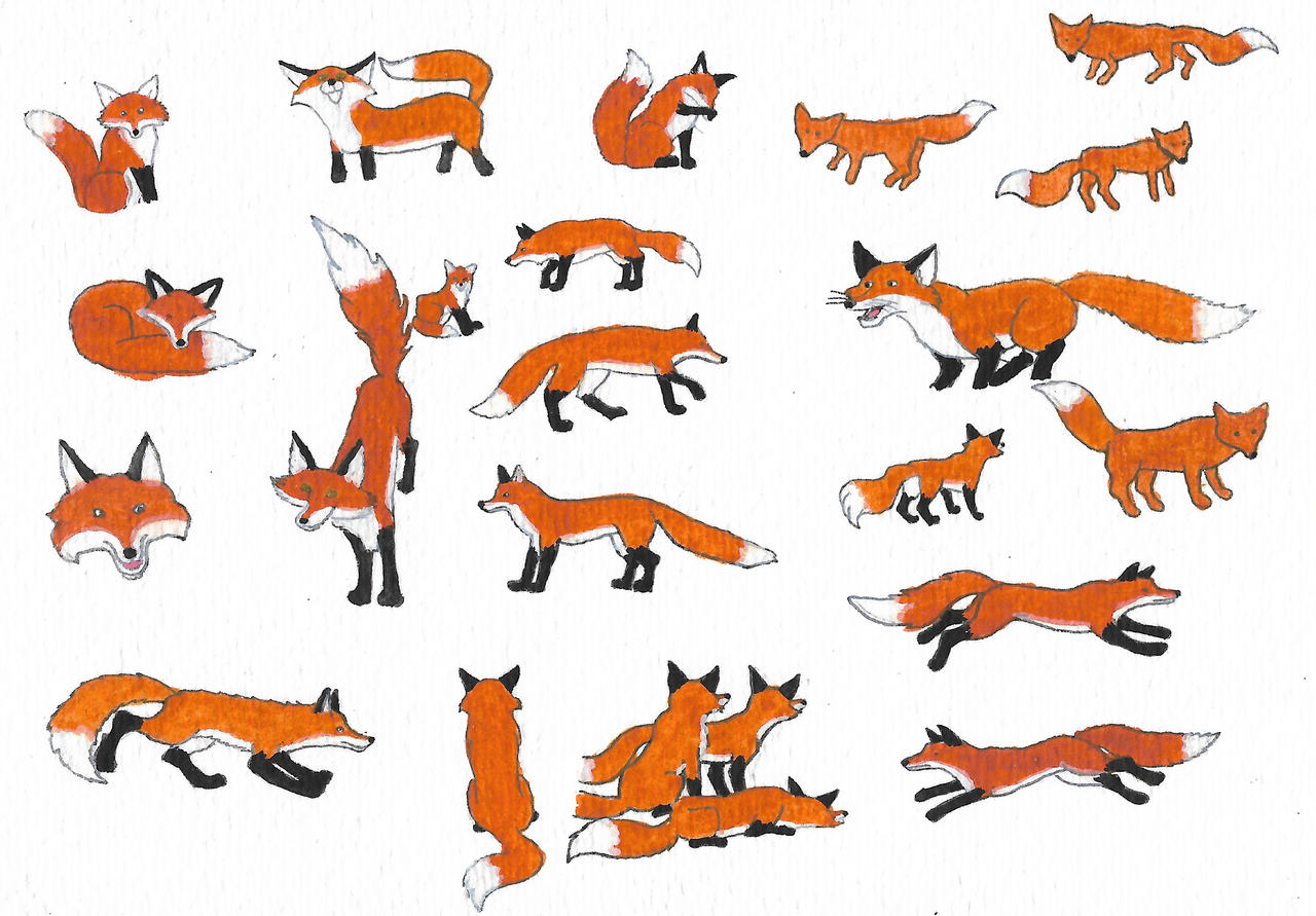 Deviantart Foxes Foxes by brazilianferalcat on DeviantArt