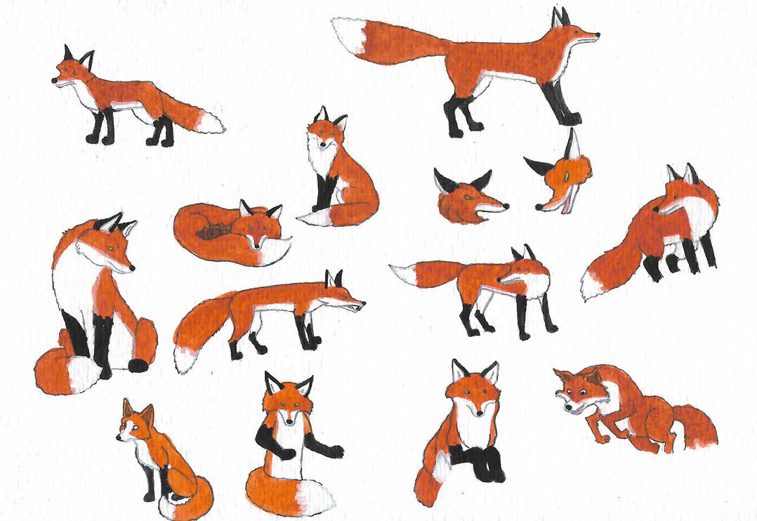 Deviantart Foxes Foxes by brazilianferalcat on DeviantArt