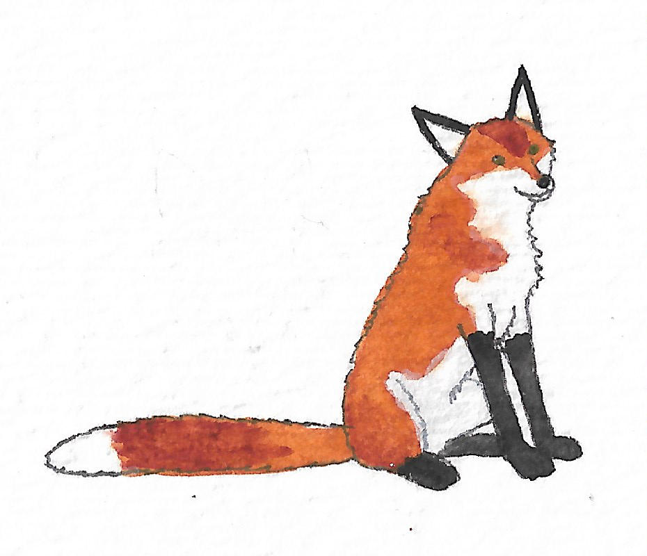 Red Fox by brazilianferalcat on DeviantArt