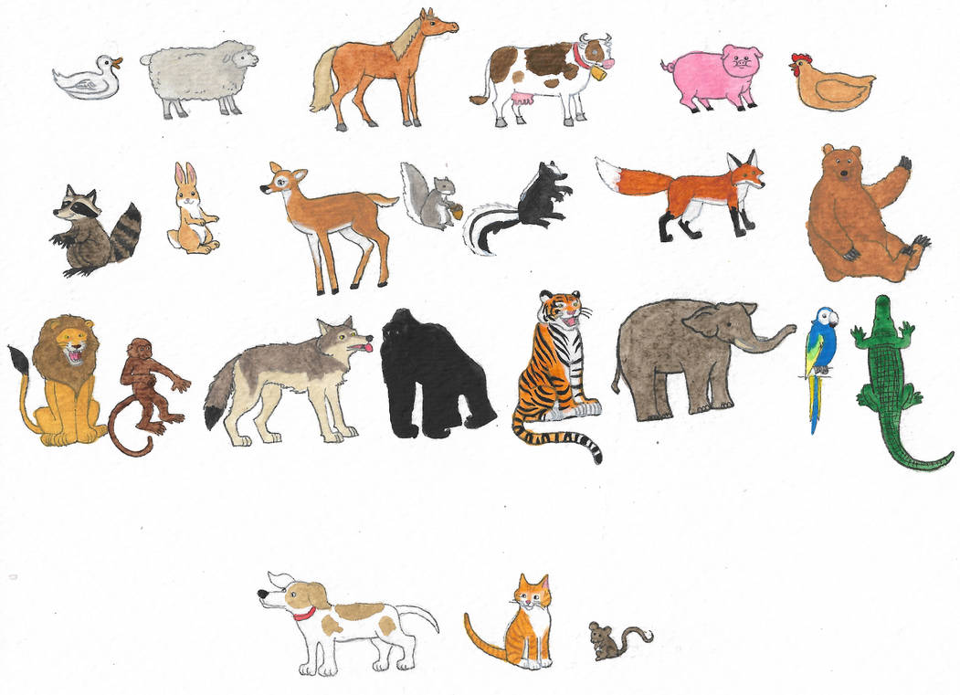 All Animals Deviantart Animals by brazilianferalcat on DeviantArt