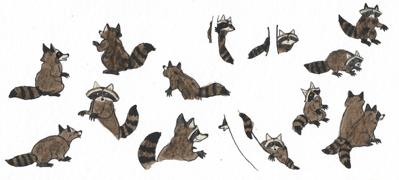 Raccoons by brazilianferalcat on DeviantArt
