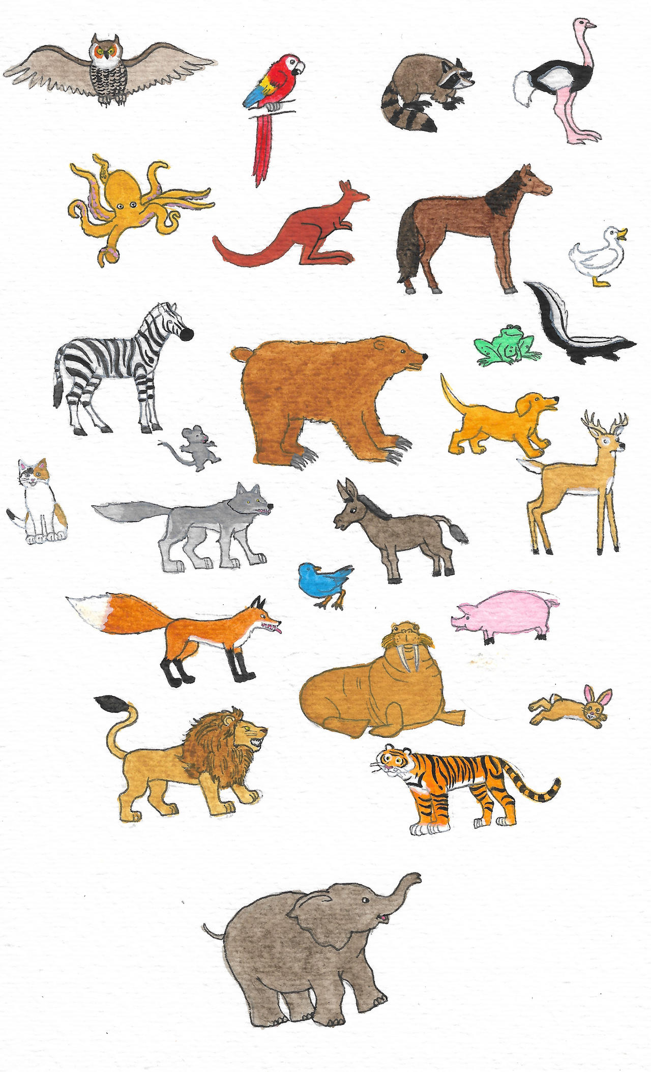 All Animals Deviantart Animals by brazilianferalcat on DeviantArt