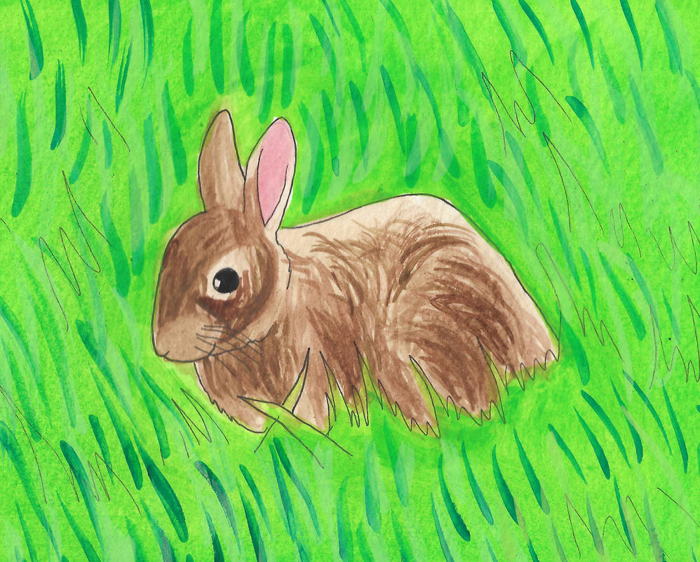 Rabbit by brazilianferalcat on DeviantArt