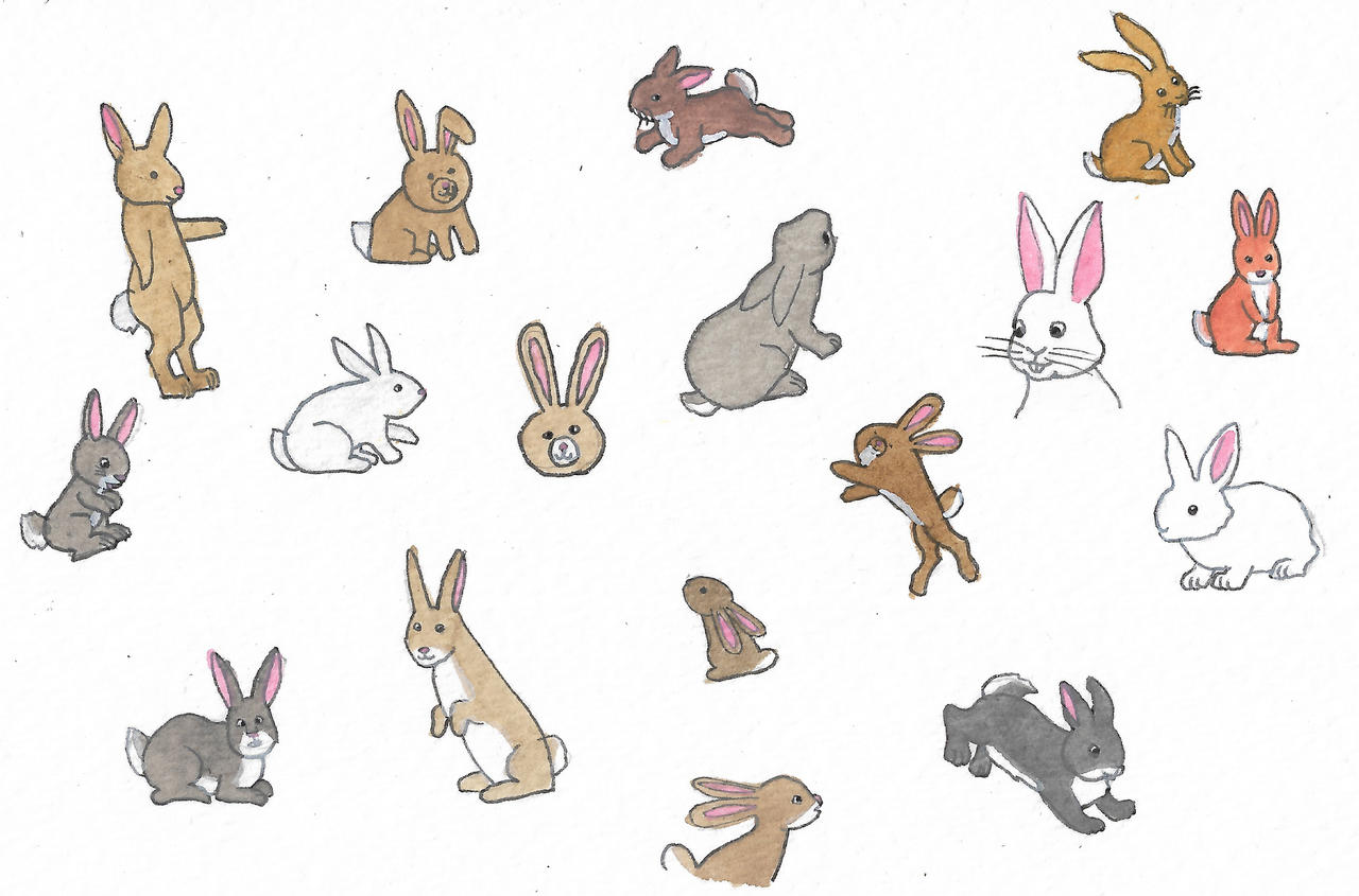 Rabbits by brazilianferalcat on DeviantArt