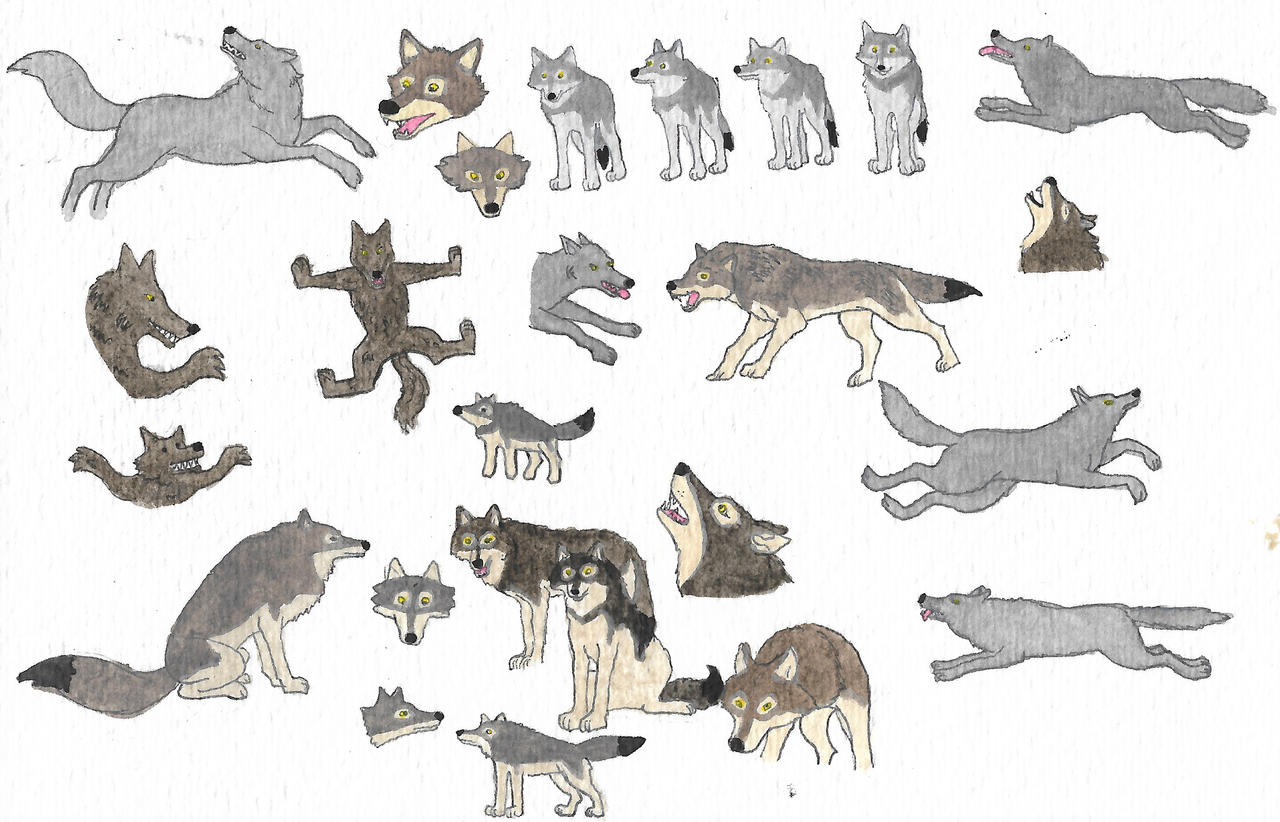 Wolves by brazilianferalcat on DeviantArt