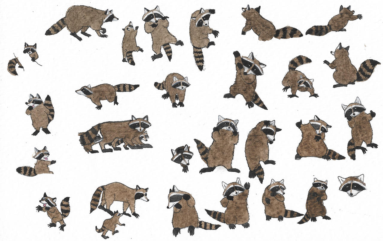Raccoons by brazilianferalcat on DeviantArt
