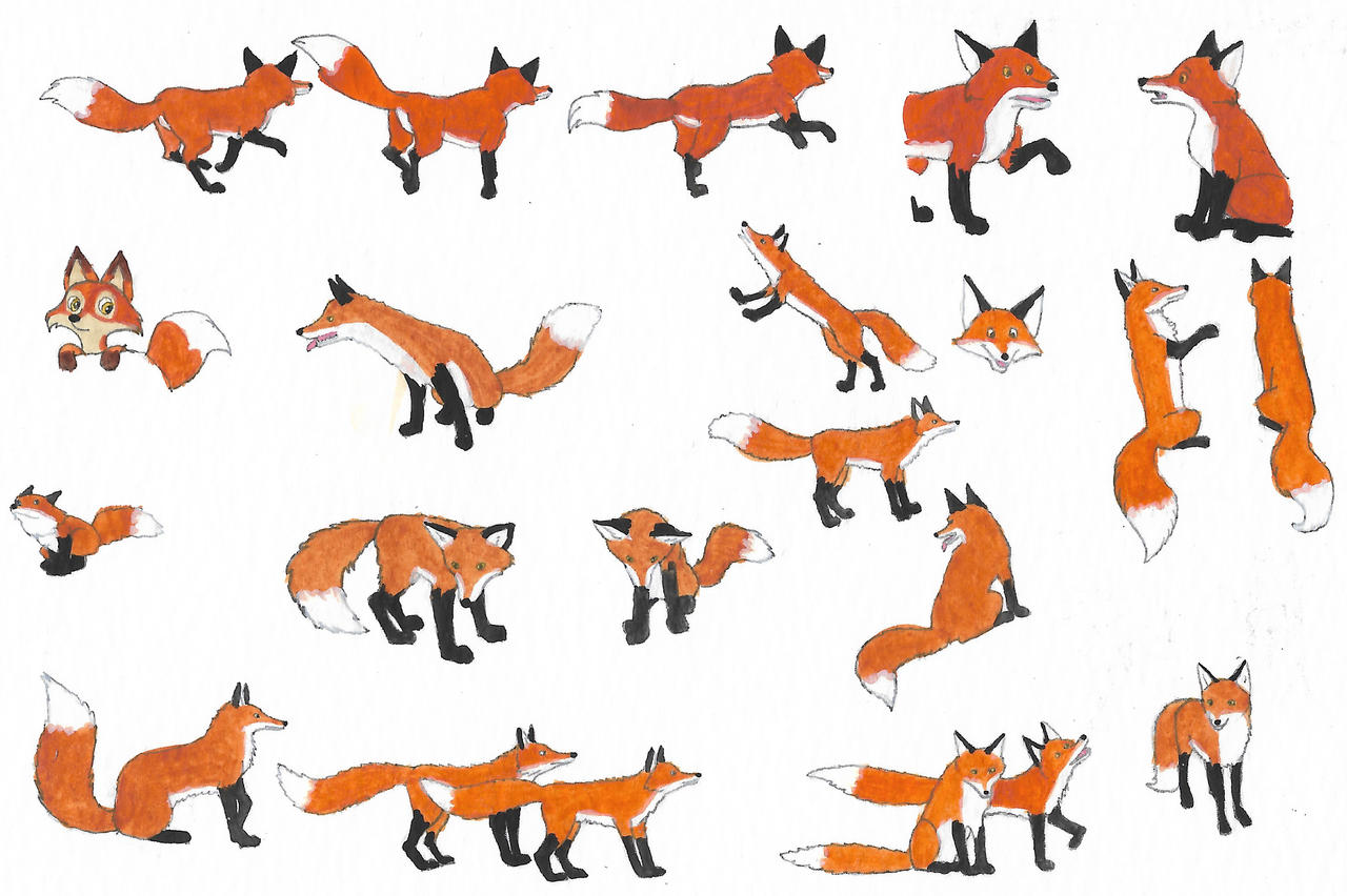 Deviantart Foxes Foxes by brazilianferalcat on DeviantArt