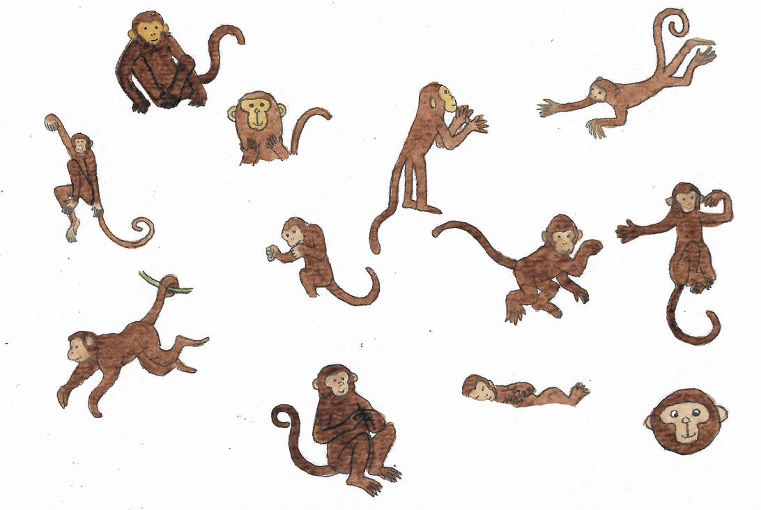 Monkeys by brazilianferalcat on DeviantArt