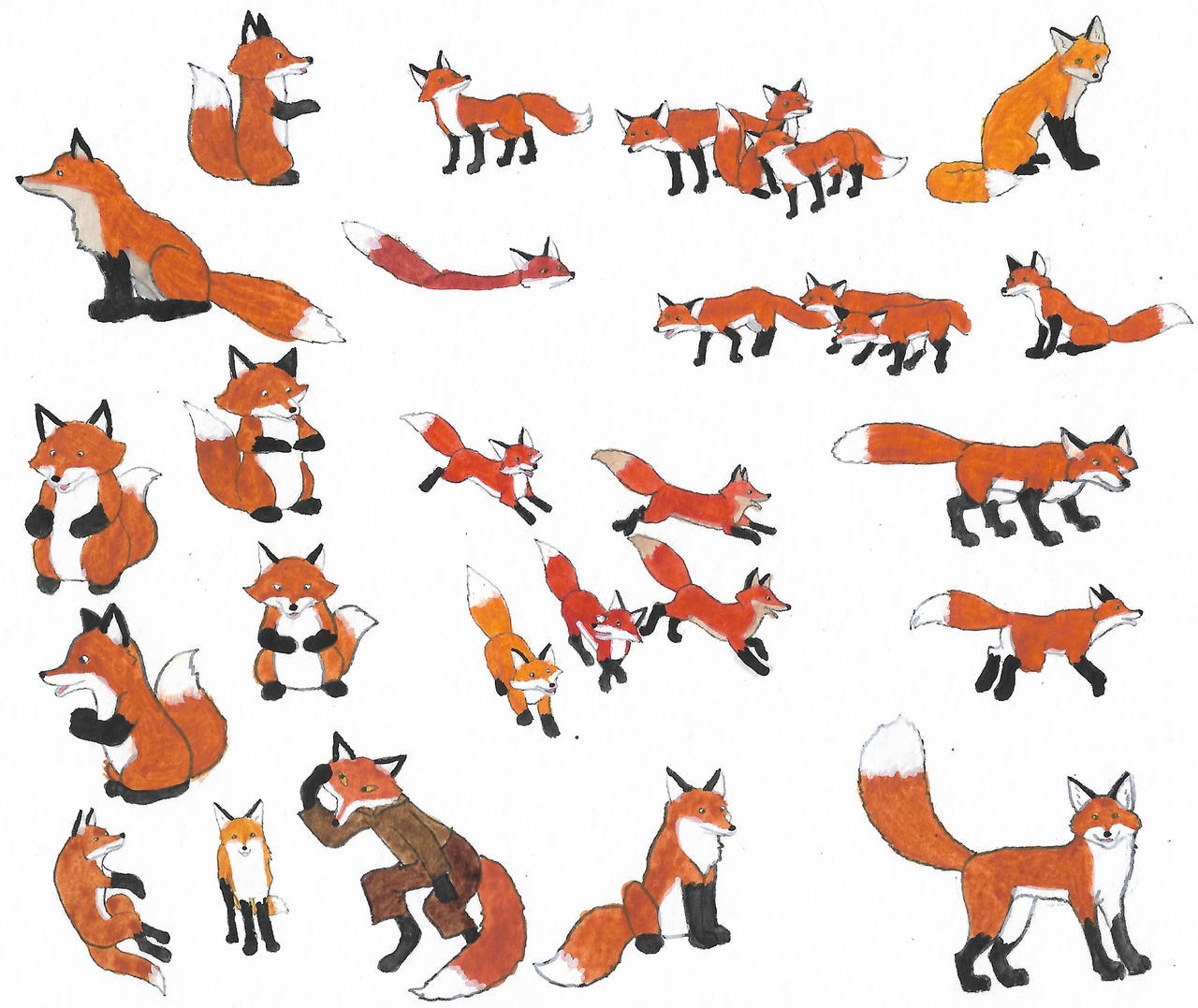 Deviantart Foxes Foxes by brazilianferalcat on DeviantArt