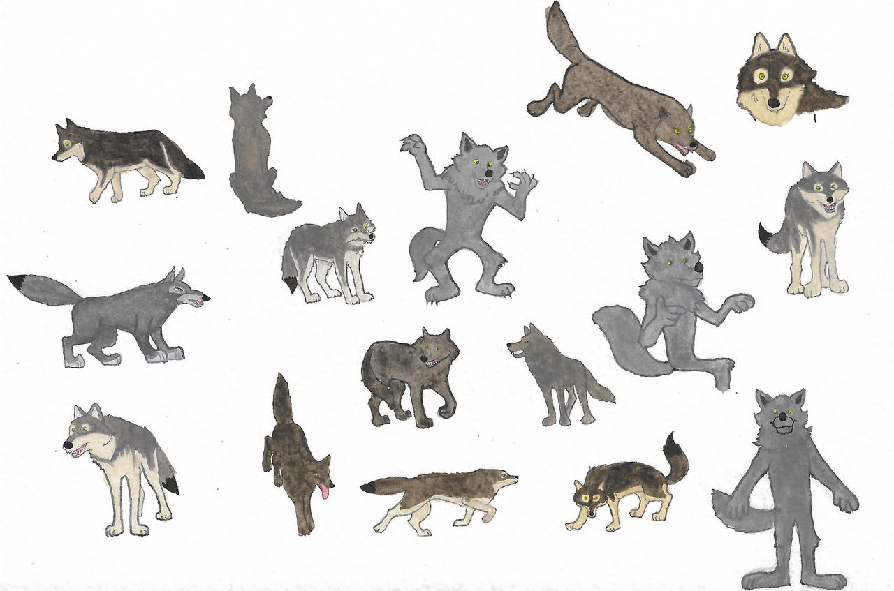 Wolves by brazilianferalcat on DeviantArt