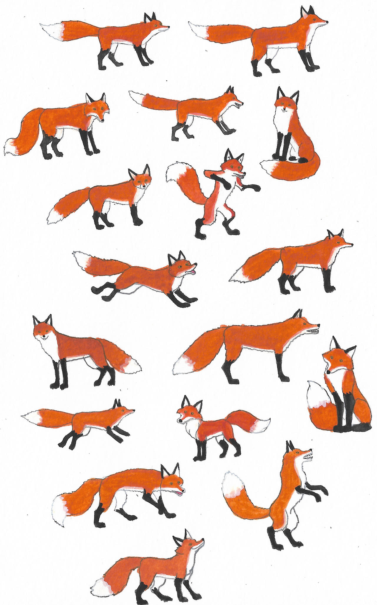 Deviantart Foxes Foxes by brazilianferalcat on DeviantArt