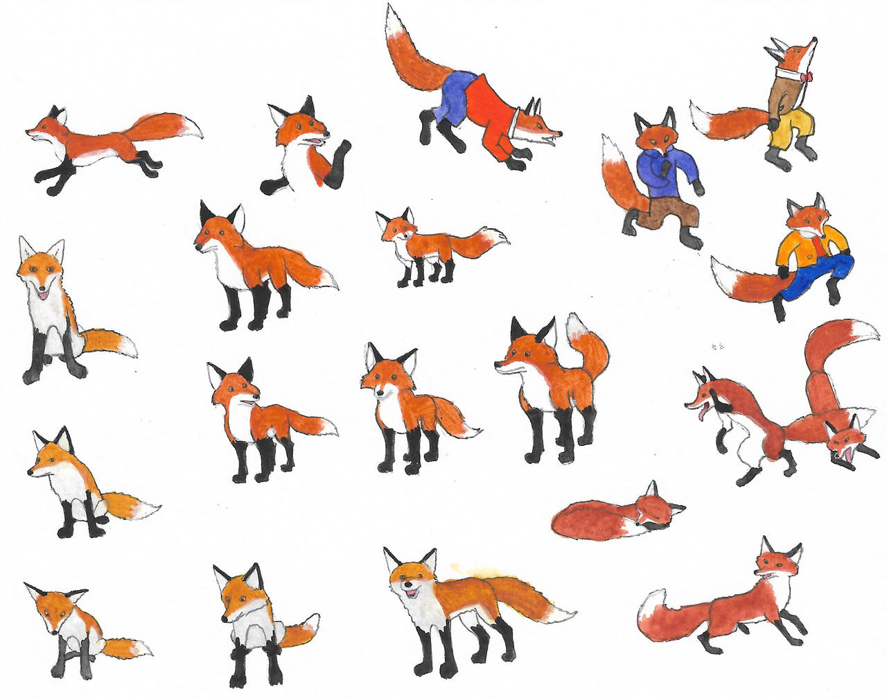 Deviantart Foxes Foxes by brazilianferalcat on DeviantArt