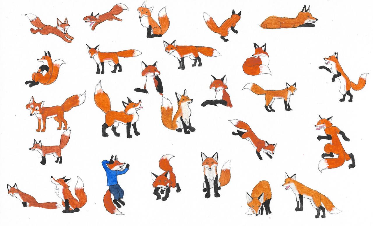 Deviantart Foxes Foxes by brazilianferalcat on DeviantArt