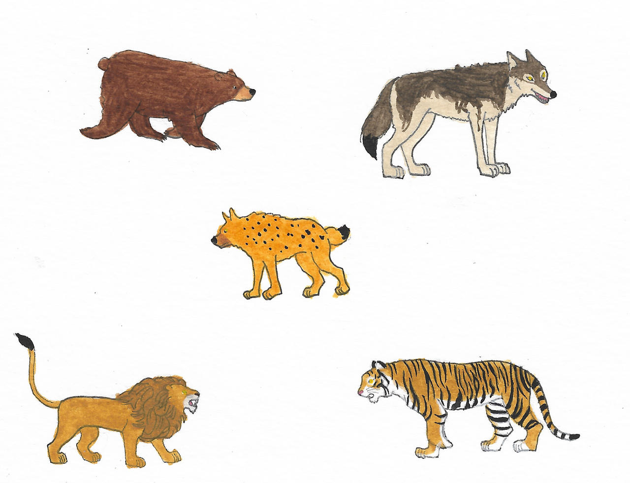 Zoo Animals By Brazilianferalcat On DeviantArt zoo-animals-by-brazilianferalcat-on-deviantart