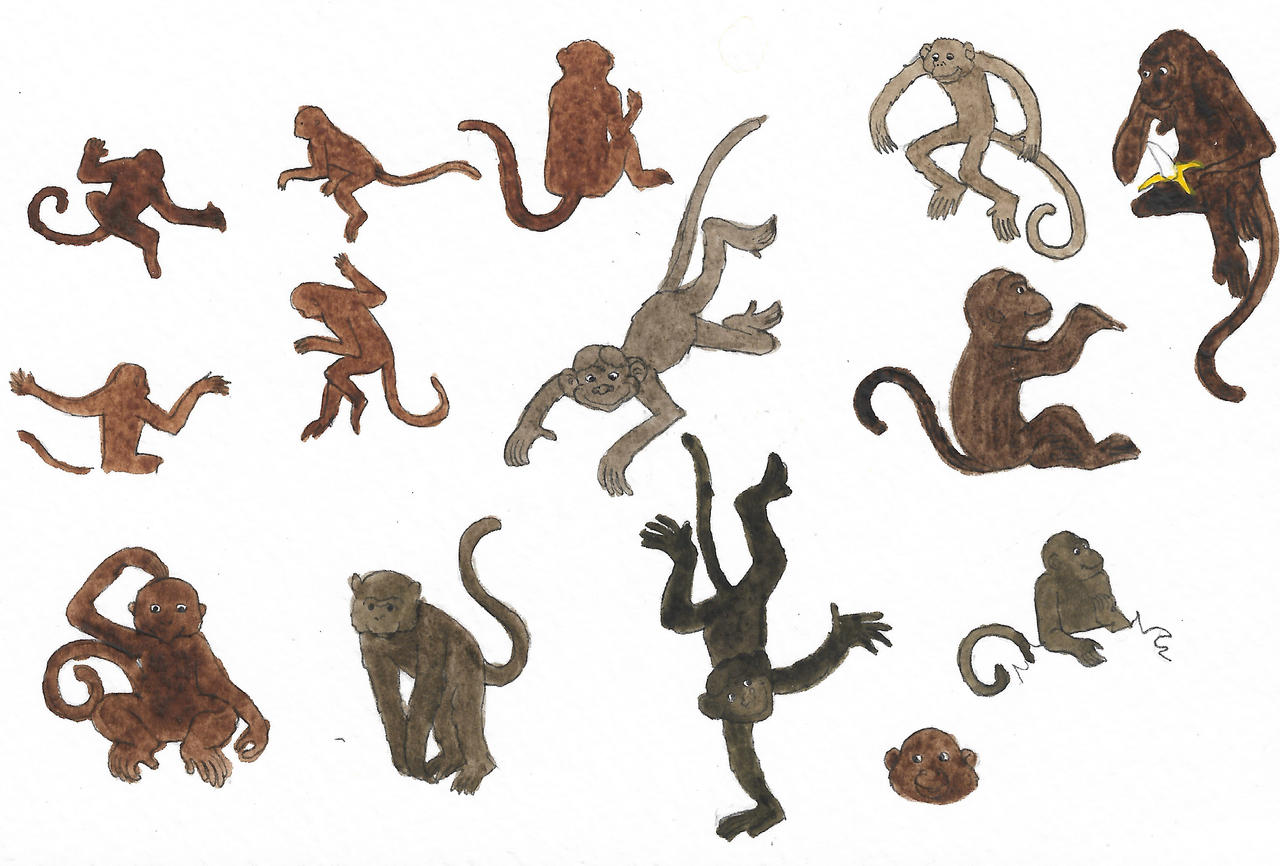 Monkeys by brazilianferalcat on DeviantArt