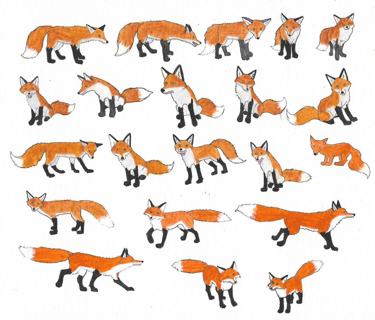 Deviantart Foxes Foxes by brazilianferalcat on DeviantArt