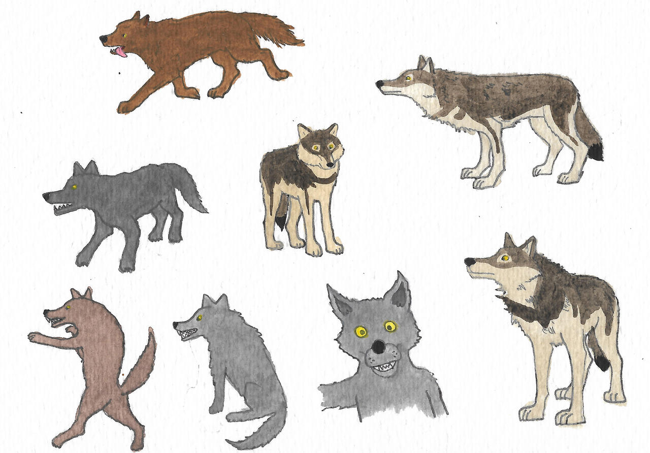 Wolves by brazilianferalcat on DeviantArt