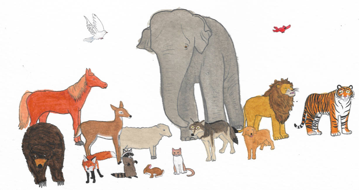 All Animals Deviantart Animals by brazilianferalcat on DeviantArt