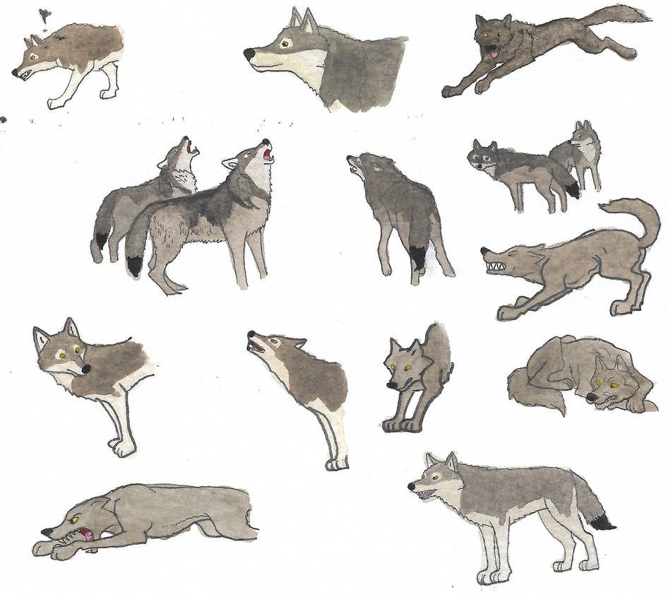 Wolves by brazilianferalcat on DeviantArt