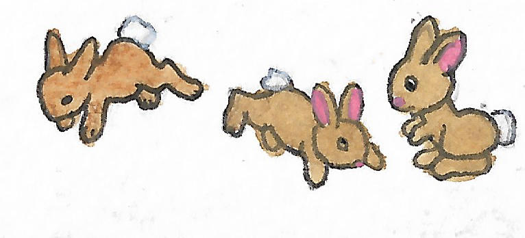 Rabbits by brazilianferalcat on DeviantArt