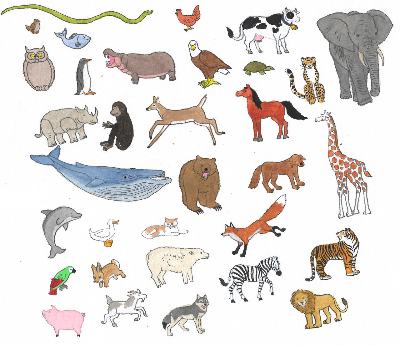 All Animals Deviantart Animals by brazilianferalcat on DeviantArt