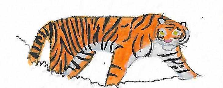 Tiger Line Art by WeathermanWeathers on DeviantArt