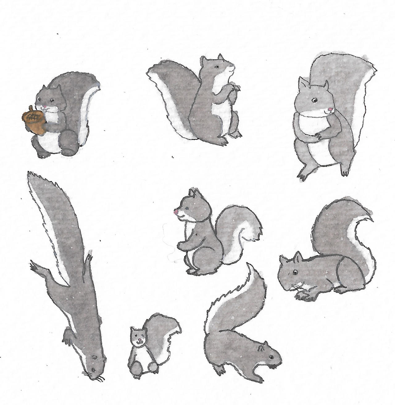 Squirrel Deviantart Squirrels by brazilianferalcat on DeviantArt