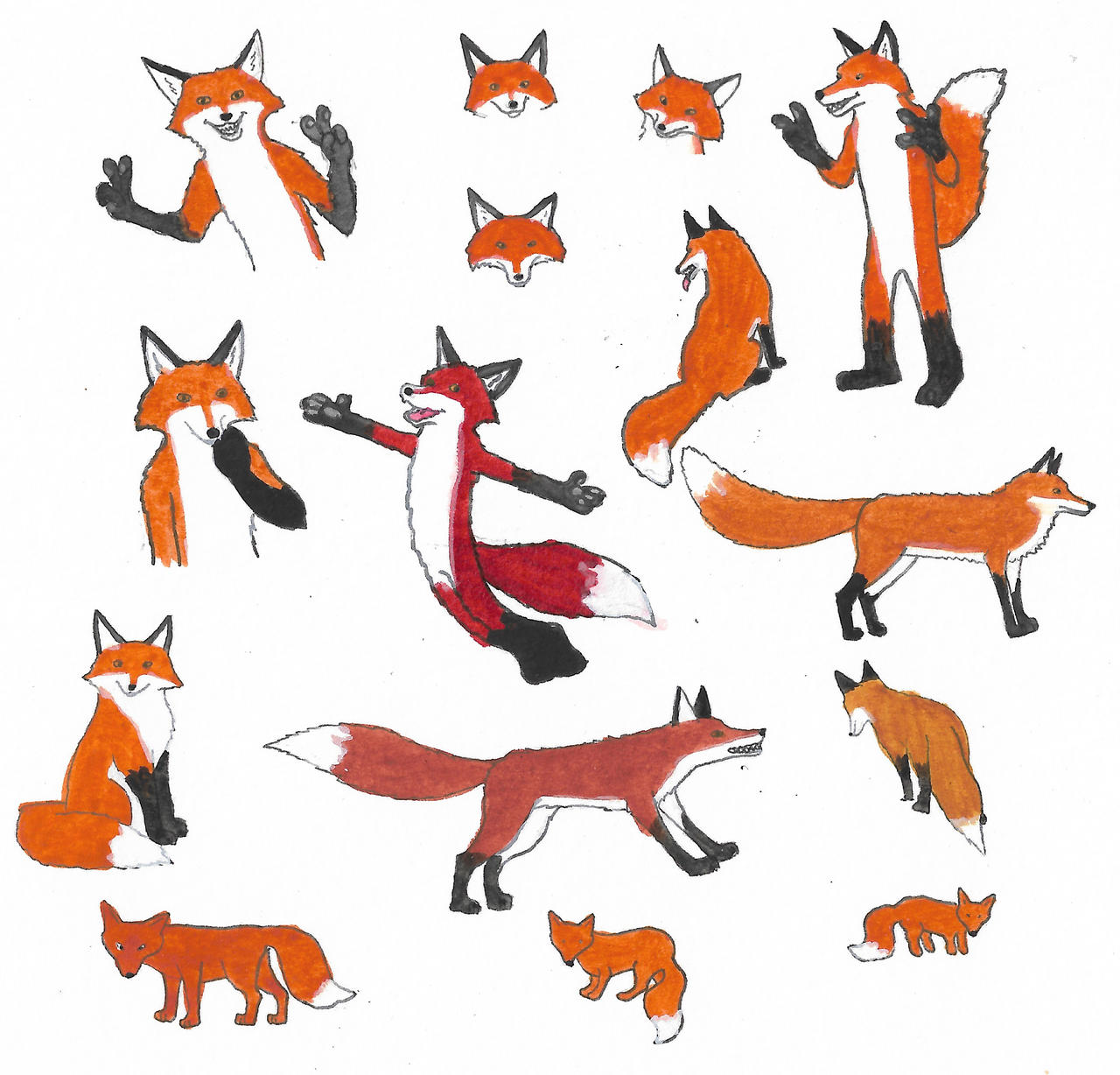 Deviantart Foxes Foxes by brazilianferalcat on DeviantArt