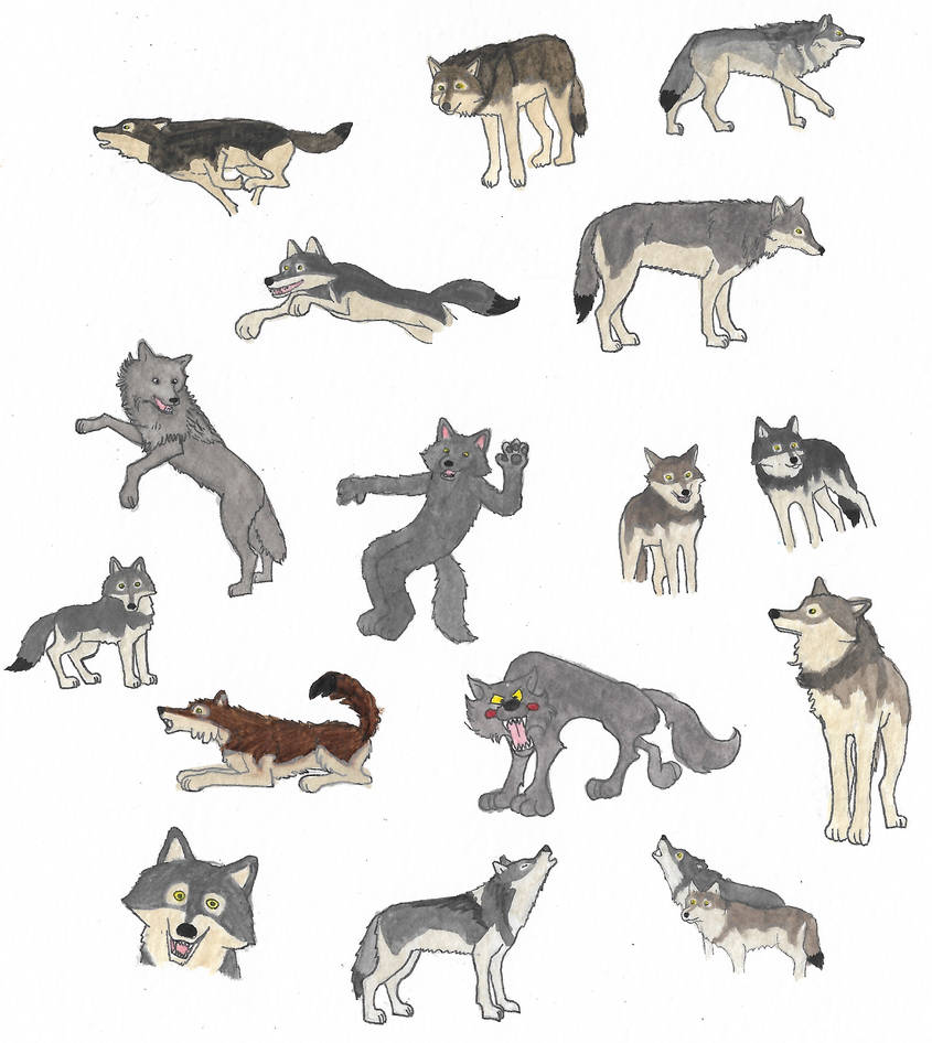 Wolves by brazilianferalcat on DeviantArt