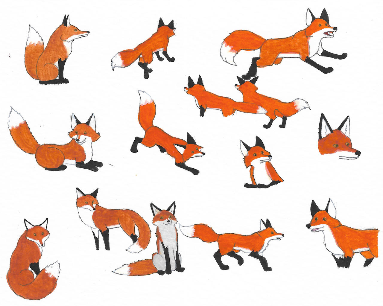 Deviantart Foxes Foxes by brazilianferalcat on DeviantArt