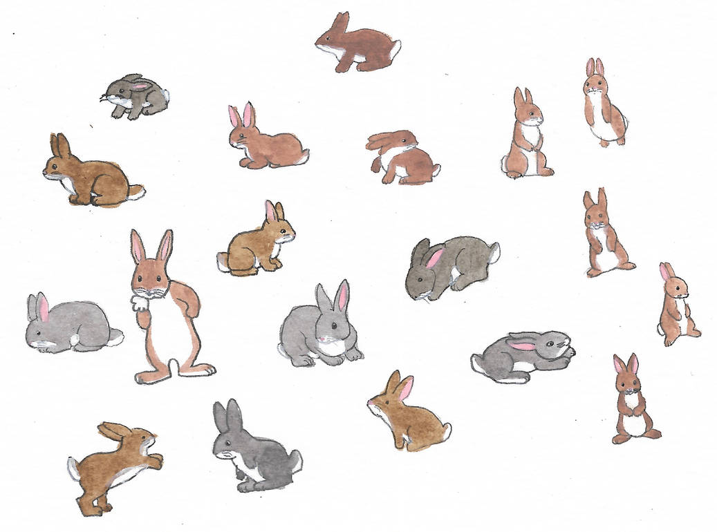 Rabbits by brazilianferalcat on DeviantArt
