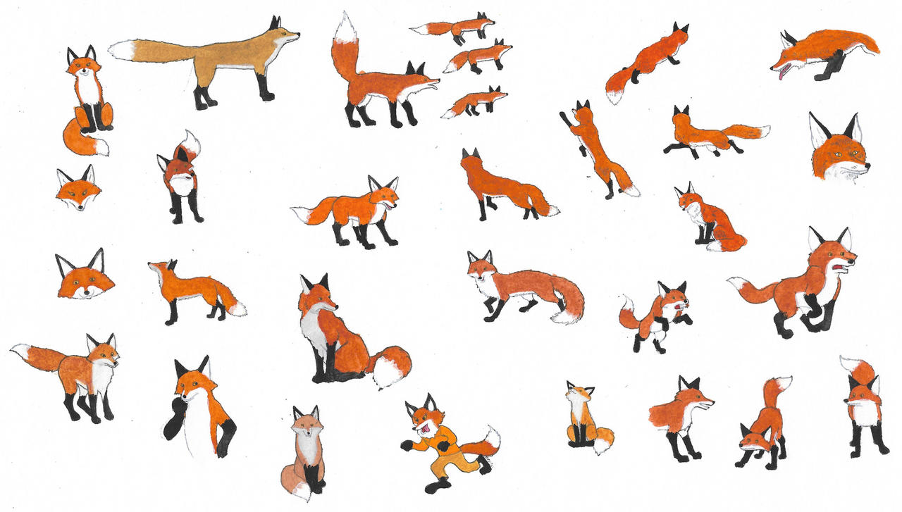 Deviantart Foxes Foxes by brazilianferalcat on DeviantArt