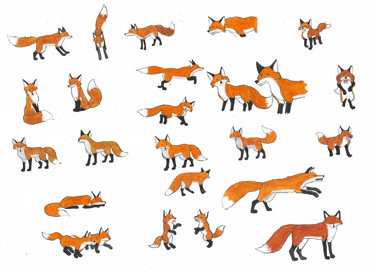 Deviantart Foxes Foxes by brazilianferalcat on DeviantArt