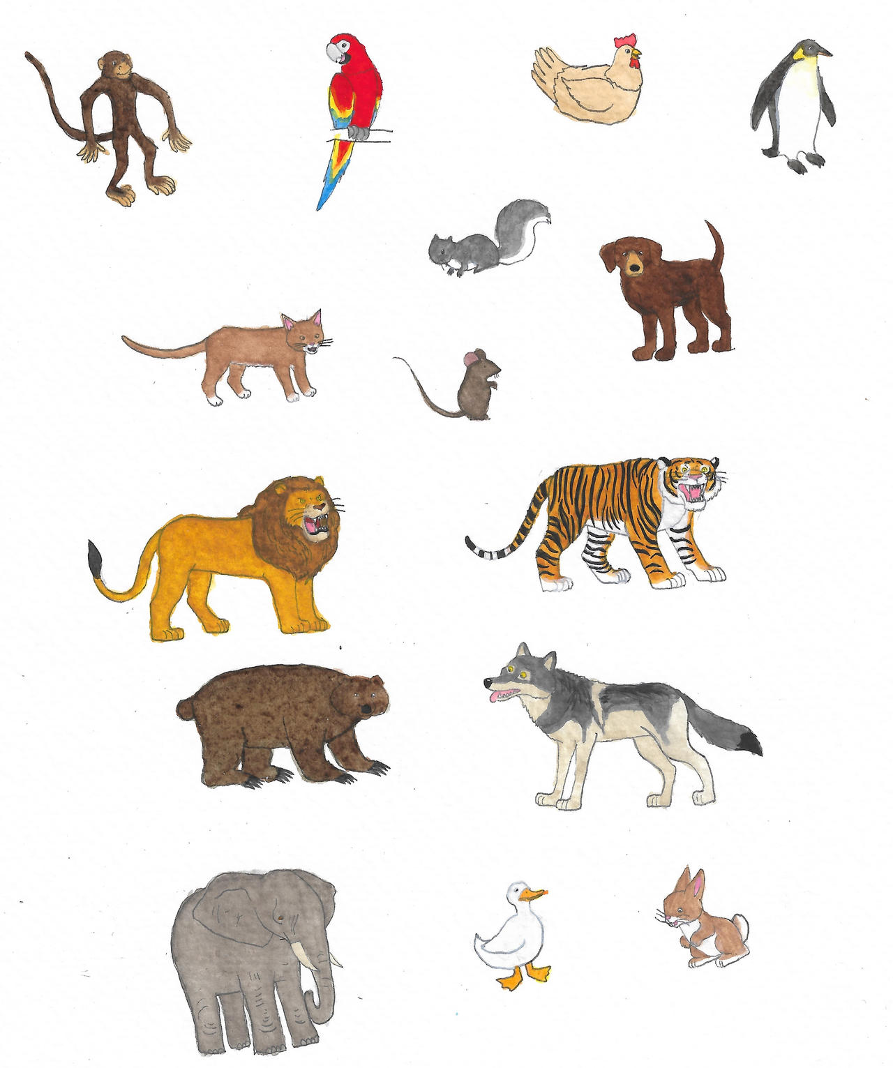 All Animals Deviantart Animals by brazilianferalcat on DeviantArt