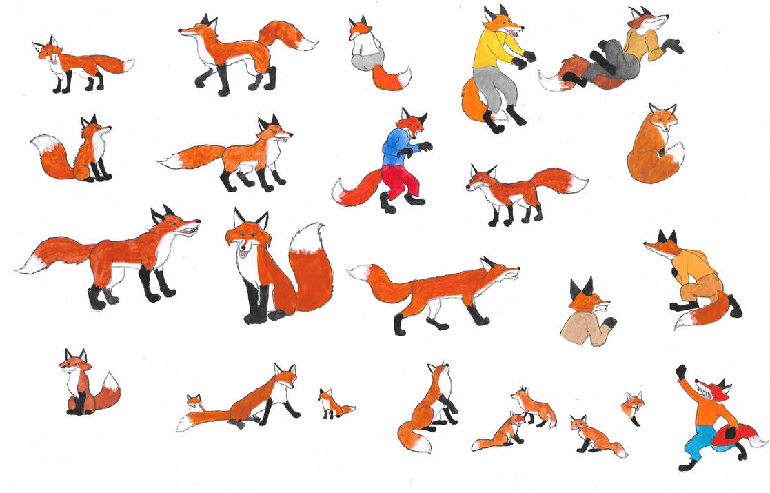 Deviantart Foxes Foxes by brazilianferalcat on DeviantArt