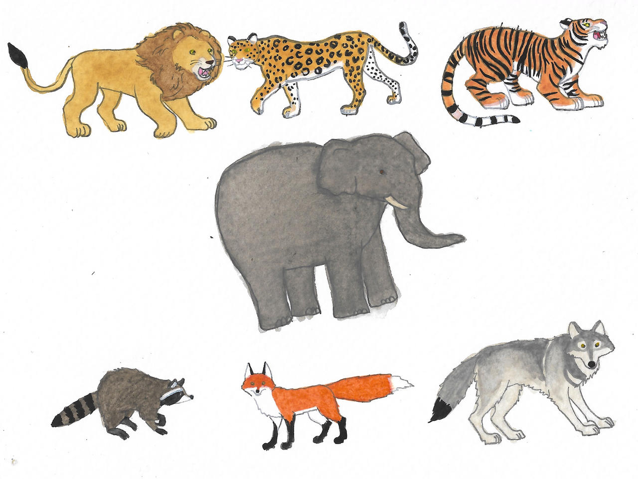 Wild animals by brazilianferalcat on DeviantArt