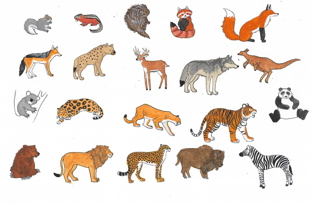 All Animals Deviantart Wild animals by brazilianferalcat on DeviantArt