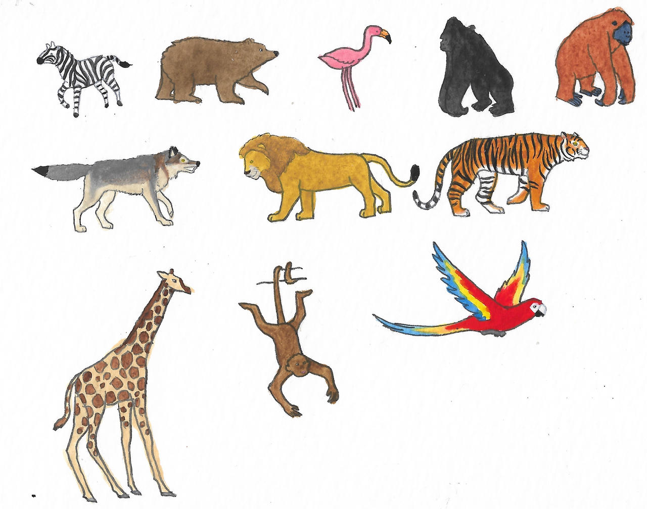 All Animals Deviantart Zoo animals by brazilianferalcat on DeviantArt