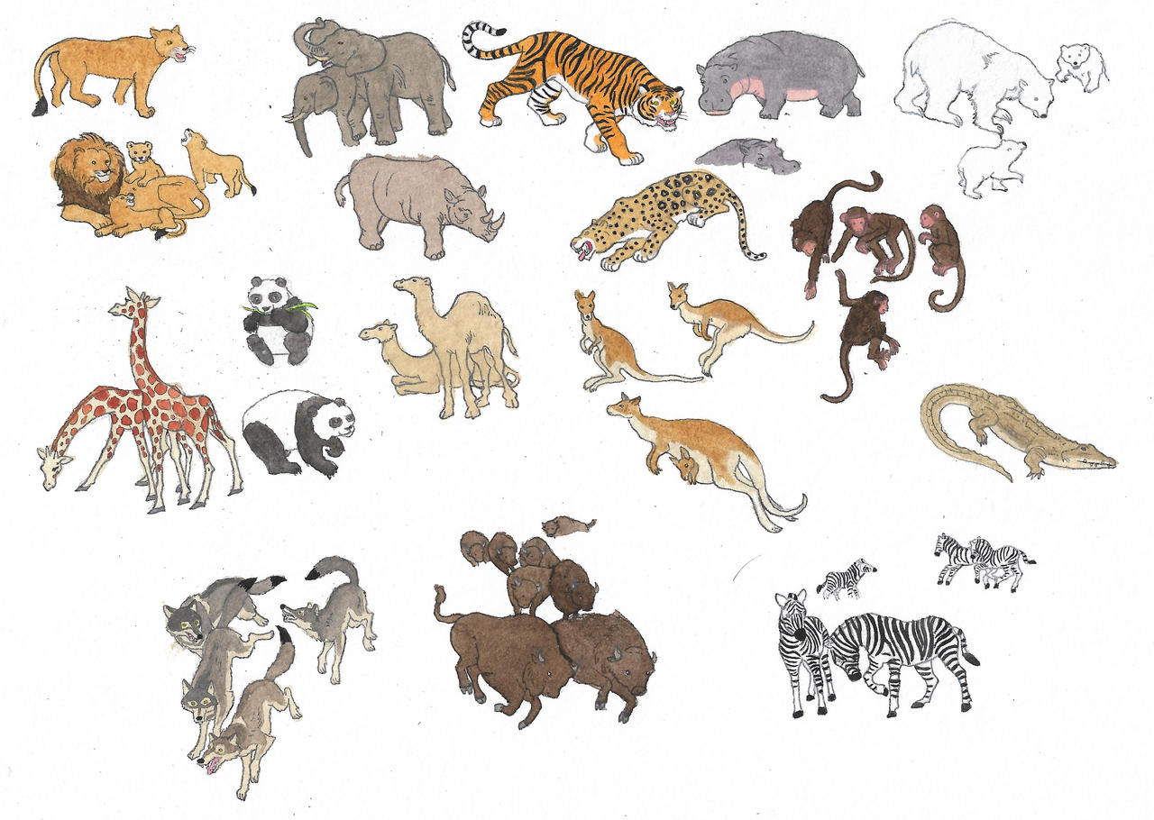 All Animals Deviantart Zoo animals by brazilianferalcat on DeviantArt
