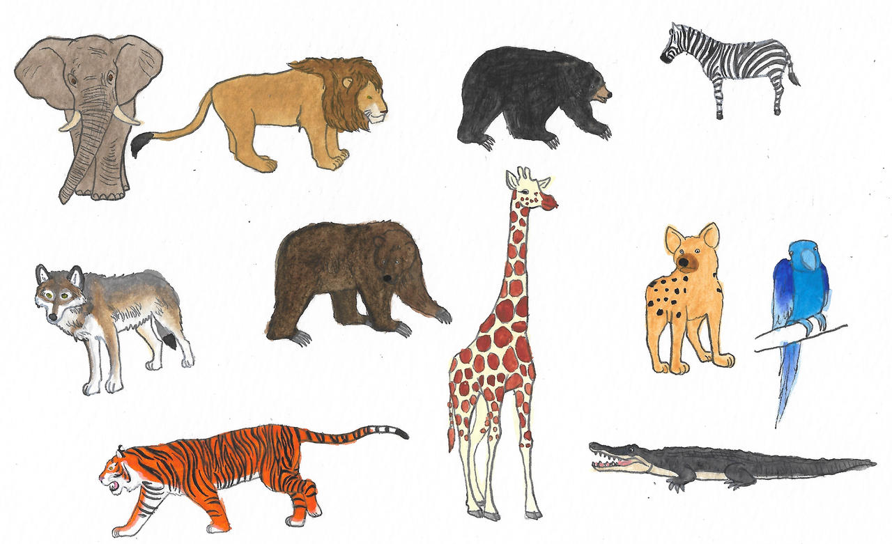 All Animals Deviantart Zoo animals by brazilianferalcat on DeviantArt