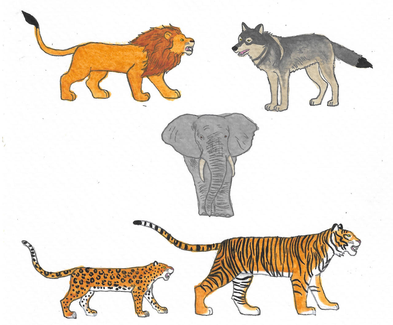All Animals Deviantart Wild animals by brazilianferalcat on DeviantArt